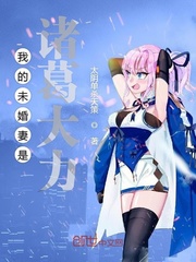 我的未婚妻是诸葛大力章节列表
