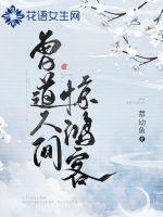 曾道人间惊鸿客章节列表