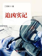 追凶实记章节列表