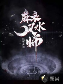 麻衣风水师章节列表