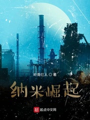 纳米崛起章节列表