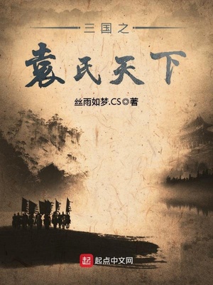 三国之袁氏天下章节列表