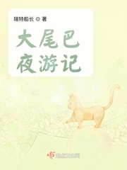 大尾巴夜游记章节列表