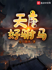 天唐好驸马章节列表