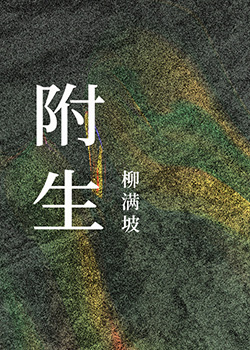 附生章节列表