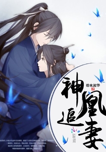 神凰追妻章节列表