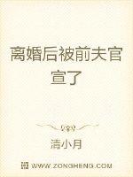 离婚后被前夫官宣了章节列表