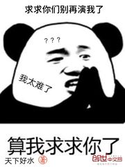 求求你们别再演我了章节列表