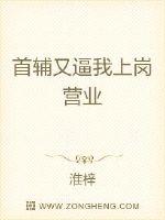 首辅又逼我上岗营业章节列表