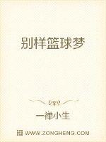 别样篮球梦章节列表