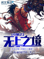斗破苍穹之无上之境小说章节列表
