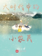 大时代中的小农民章节列表