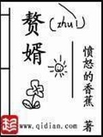 赘婿宁毅苏檀儿章节列表