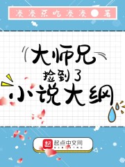 大师兄捡到了小说大纲章节列表