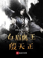 白眉鹰王殷天正章节列表
