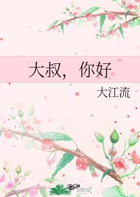 大叔,你好章节列表