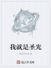 我就是圣光章节列表