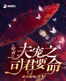 暗夜夫宠之司君要命章节列表