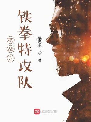 抗战之铁拳特攻队章节列表