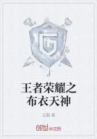 王者荣耀之布衣天神章节列表