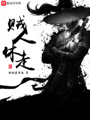 贼人休走章节列表
