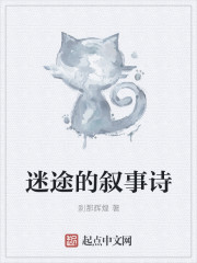 迷途的叙事诗章节列表