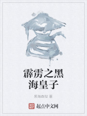 霹雳之黑海皇子章节列表
