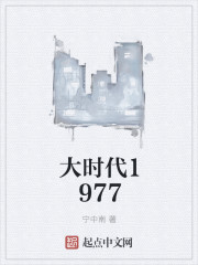 大时代1977章节列表