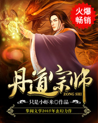 丹道宗师章节列表