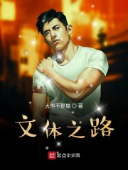 文体之路章节列表