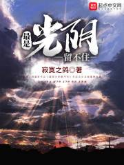 最是光阴留不住章节列表