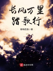 长风万里踏歌行章节列表