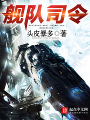 舰队司令章节列表