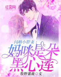 闪婚小胖妻：妈咪是朵黑心莲章节列表