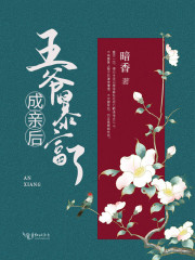 傅元令肖九岐章节列表