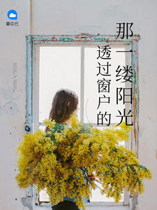 透过窗户的那一缕阳光章节列表