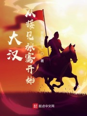 大汉从接见张骞开始章节列表