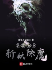 天罡地煞，斩妖除魔章节列表