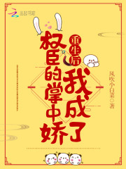 重生后我成了权臣的掌中娇南宝衣萧弈（重生后我成了权臣的掌中娇南宝衣萧弈）章节列表