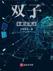 双子命运织锦章节列表