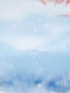 傲雪凌霜啸章节列表