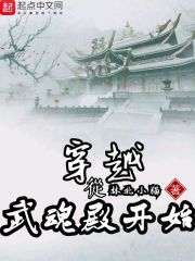 穿越从武魂殿开始章节列表
