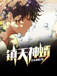 战龙临门陈宁宋娉婷章节列表