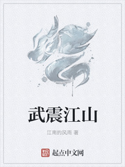 武震江山章节列表