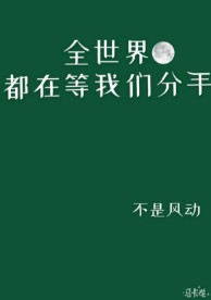 全世界都在等我们分手章节列表