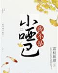 我不是小哑巴章节列表