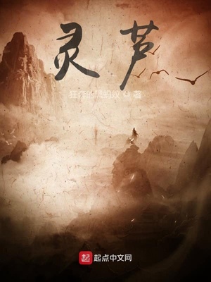灵芦章节列表