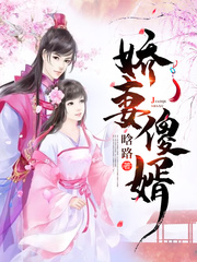 娇妻傻婿章节列表
