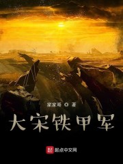 大宋铁甲军章节列表