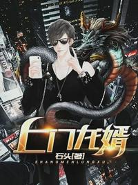 上门龙婿林飞安疏影章节列表